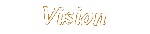 Vision
